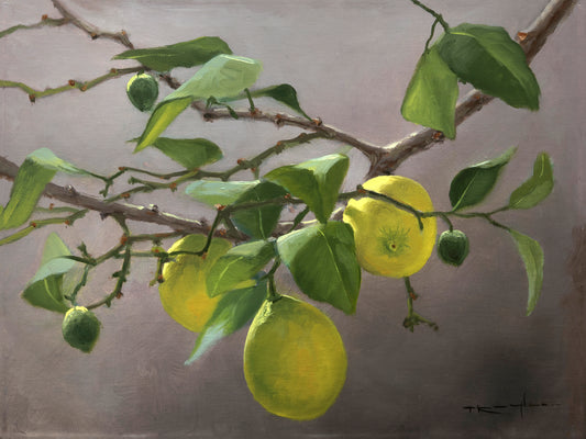 “Umbrian Lemons, 2 Corinthians 5:7"